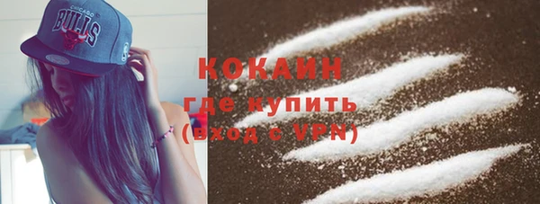 хмурый Каменка
