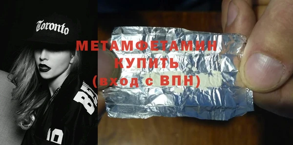 индика Каменногорск