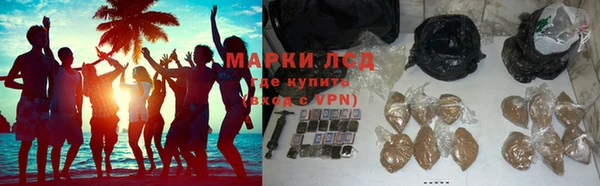 кокс Касимов