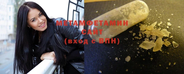 индика Каменногорск