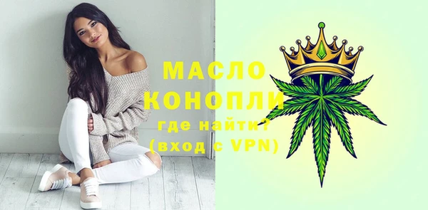 хмурый Каменка