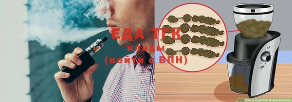 индика Каменногорск