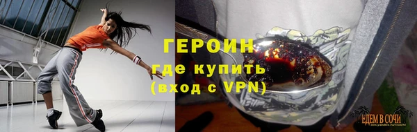 индика Каменногорск