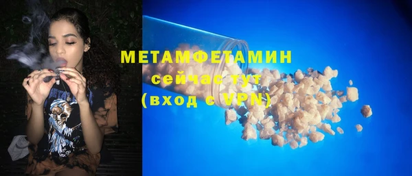 индика Каменногорск