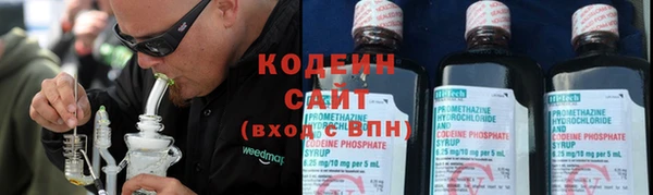 хмурый Каменка