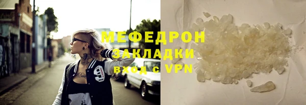 индика Каменногорск