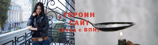 индика Каменногорск