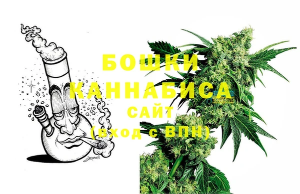 хмурый Каменка