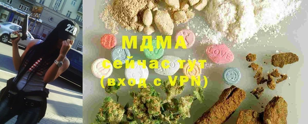 индика Каменногорск