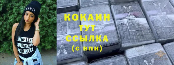 хмурый Каменка