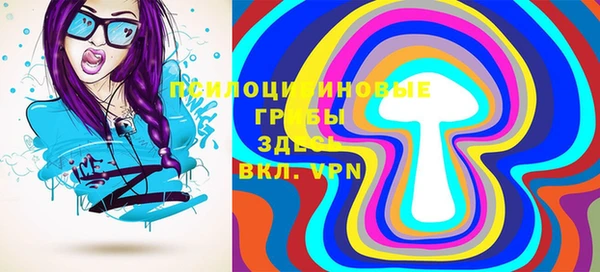 индика Каменногорск