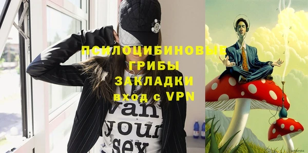 хмурый Каменка