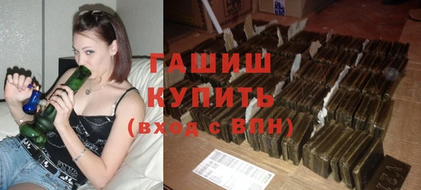 хмурый Каменка
