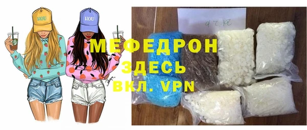 индика Каменногорск