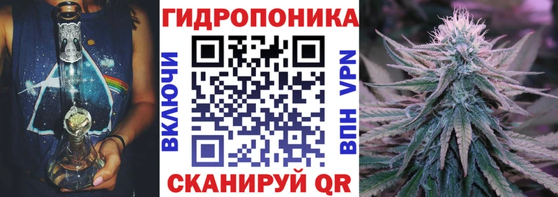 Купить где  Дно  Бошки марихуана марихуана 